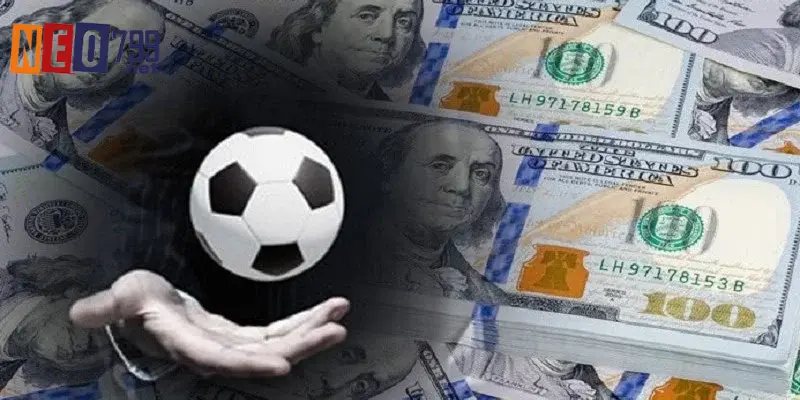 Đại lý NEO79 - Lợi Ích Vượt Trội, Hoa Hồng 50% 3 Thao tác đăng ký quy trình đại lý NEO79