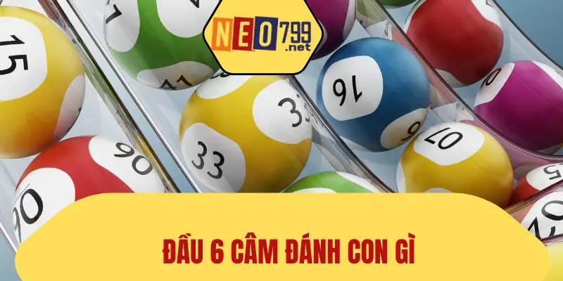 Đầu 6 Câm Đánh Con Gì? NEO79 Giải Mã Các Con Số Bí Ẩn 1 đầu 6 câm đánh con gì
