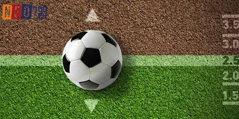 Thể Thao NEO79 – Cá Cược Minh Bạch Và Uy Tín 4 Tổng hợp các loại kèo thể thao NEO79 phổ biến